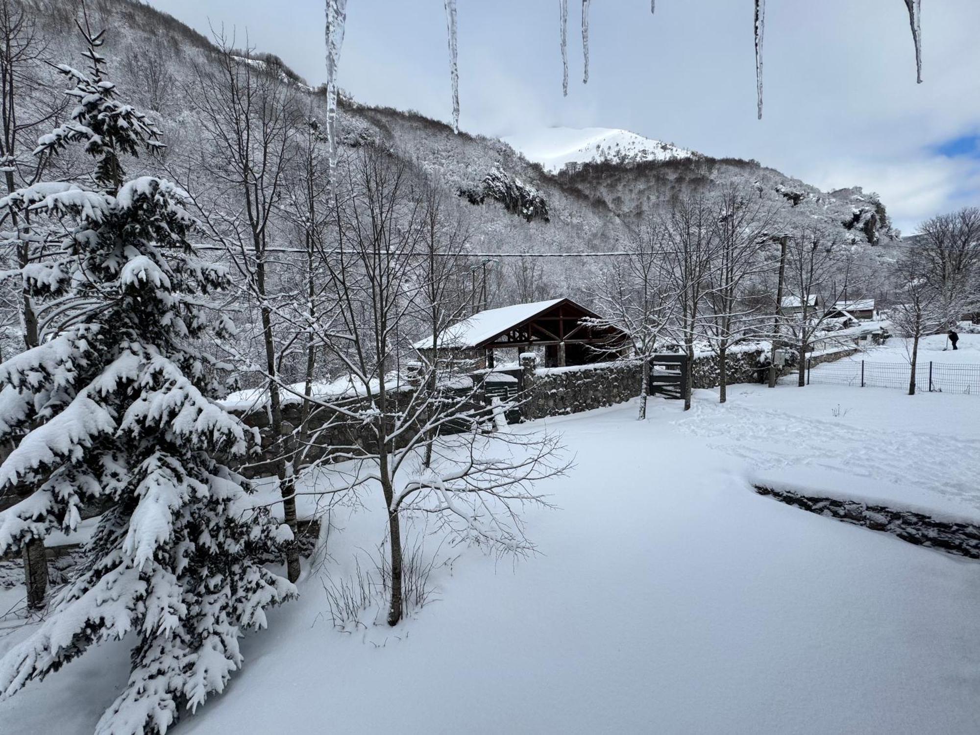 Biocinovici Vikendica Villa Kolasin Exterior photo